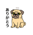 名前入りパグフォーン（個別スタンプ：2）