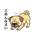 名前入りパグフォーン（個別スタンプ：3）