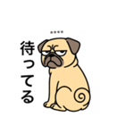 名前入りパグフォーン（個別スタンプ：12）