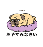 名前入りパグフォーン（個別スタンプ：17）