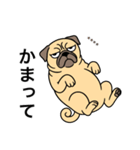 名前入りパグフォーン（個別スタンプ：19）