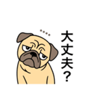 名前入りパグフォーン（個別スタンプ：20）