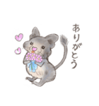 BPNのデグーとねこ（個別スタンプ：1）