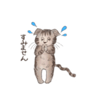 BPNのデグーとねこ（個別スタンプ：4）