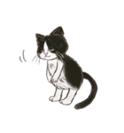 BPNのデグーとねこ（個別スタンプ：5）