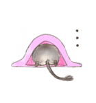 BPNのデグーとねこ（個別スタンプ：6）
