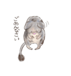 BPNのデグーとねこ（個別スタンプ：7）