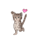 BPNのデグーとねこ（個別スタンプ：8）