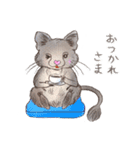 BPNのデグーとねこ（個別スタンプ：13）