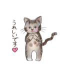 BPNのデグーとねこ（個別スタンプ：14）