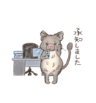 BPNのデグーとねこ（個別スタンプ：17）