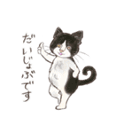 BPNのデグーとねこ（個別スタンプ：24）