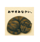 サビ猫しずくちゃんスタンプ パート2（個別スタンプ：6）