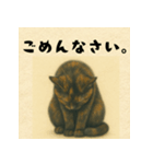 サビ猫しずくちゃんスタンプ パート2（個別スタンプ：7）