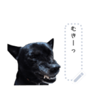 甲斐犬はるさめ3（個別スタンプ：10）