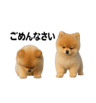かわいいから許して（個別スタンプ：3）