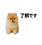 かわいいから許して（個別スタンプ：4）