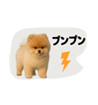 かわいいから許して（個別スタンプ：8）
