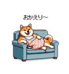 主婦な太っちょ柴犬（個別スタンプ：2）