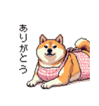 主婦な太っちょ柴犬（個別スタンプ：5）