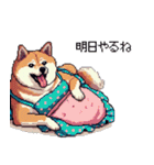 主婦な太っちょ柴犬（個別スタンプ：8）