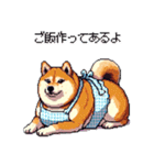 主婦な太っちょ柴犬（個別スタンプ：13）