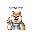 主婦な太っちょ柴犬（個別スタンプ：16）