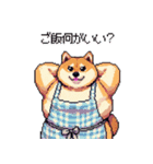 主婦な太っちょ柴犬（個別スタンプ：19）