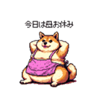 主婦な太っちょ柴犬（個別スタンプ：21）