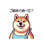 主婦な太っちょ柴犬（個別スタンプ：22）