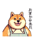 主婦な太っちょ柴犬（個別スタンプ：23）