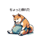 主婦な太っちょ柴犬（個別スタンプ：28）
