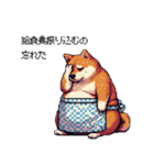 主婦な太っちょ柴犬（個別スタンプ：31）