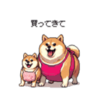 主婦な太っちょ柴犬（個別スタンプ：33）