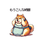 主婦な太っちょ柴犬（個別スタンプ：34）