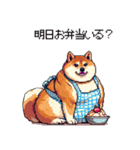 主婦な太っちょ柴犬（個別スタンプ：40）