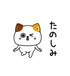 ねこ依存一年中使えるシンプル（個別スタンプ：20）