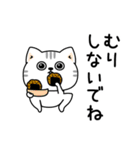 ねこ依存一年中使えるシンプル（個別スタンプ：27）
