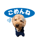 シンプル①20250728（個別スタンプ：4）
