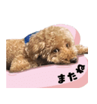 シンプル①20250728（個別スタンプ：6）