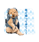 シンプル①20250728（個別スタンプ：8）