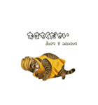 動く！ぽちゃねことフルーツと水着の夏（個別スタンプ：11）