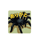 色んな虫と日常スタンプ（個別スタンプ：1）