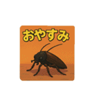 色んな虫と日常スタンプ（個別スタンプ：9）