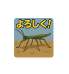 色んな虫と日常スタンプ（個別スタンプ：13）