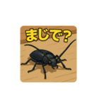 色んな虫と日常スタンプ（個別スタンプ：20）