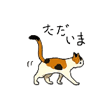 三毛猫のきぶん（個別スタンプ：4）