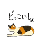 三毛猫のきぶん（個別スタンプ：5）