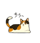 三毛猫のきぶん（個別スタンプ：7）
