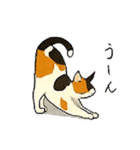 三毛猫のきぶん（個別スタンプ：8）